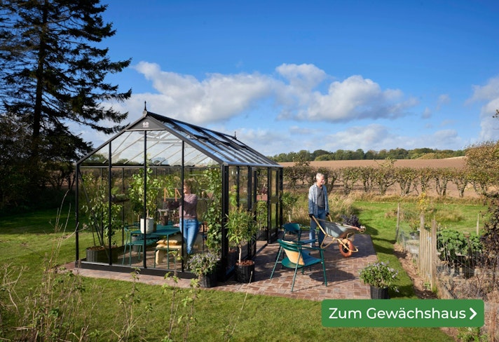 Unser neuestes Gewächshaus Sliderbild
