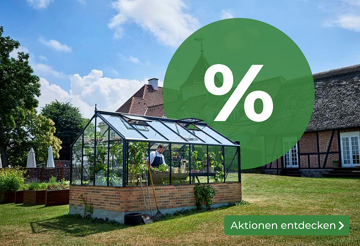 SALE-Aktionen entdecken Sliderbild