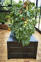 Vorschaubild Juliana Pflanzkasten 95 x 55 x 37 cm schwarz ohne Boden