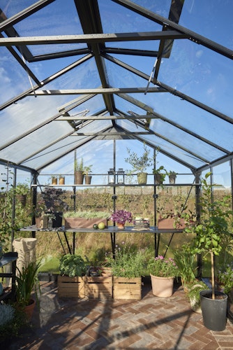 Juliana Gewächshaus Jubii 15,1 m² inkl. gratis Fundamentrahmen und Starterset im Wert von 668 €