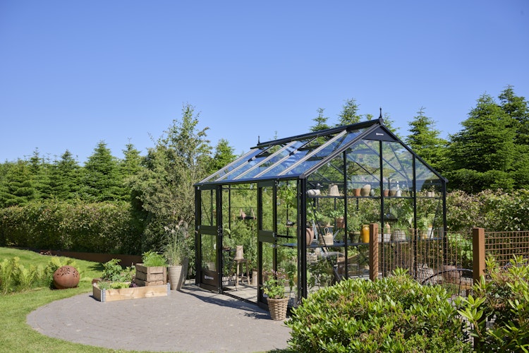 Juliana Gewächshaus Jubii 10,9 m² inkl. gratis Fundamentrahmen und Starterset im Wert von 578 €