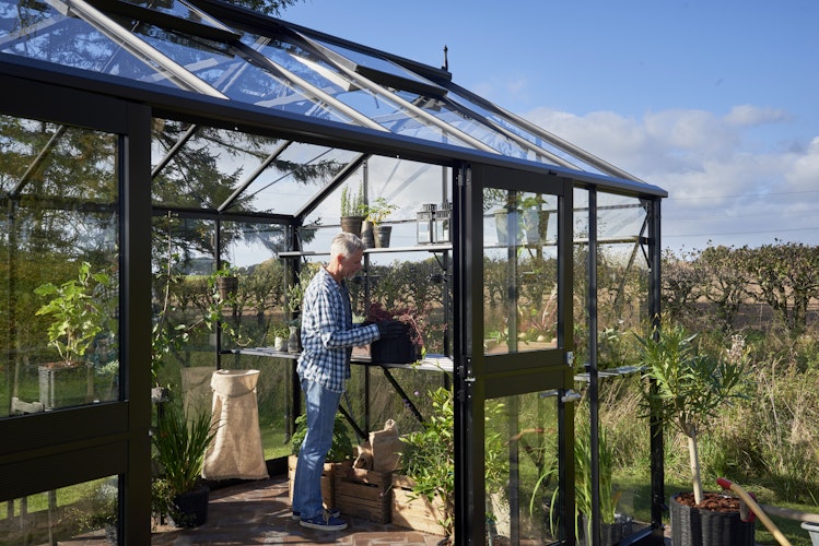 Juliana Gewächshaus Jubii 15,1 m² inkl. gratis Fundamentrahmen und Starterset im Wert von 668 €