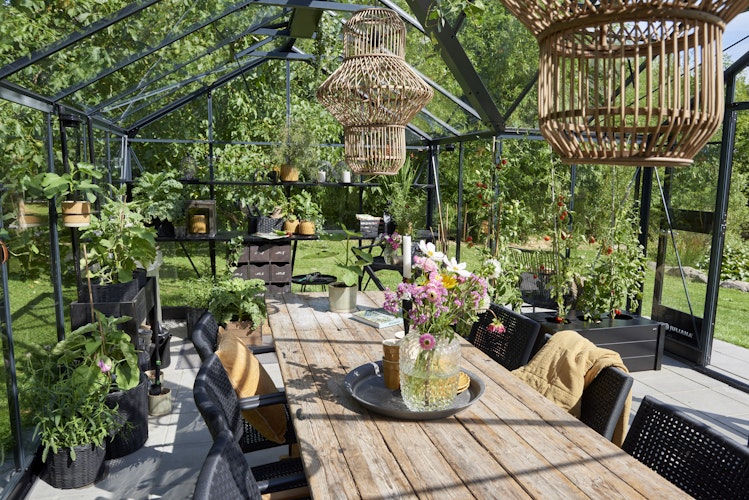 Juliana Gewächshaus Orangerie - 21,5 m²