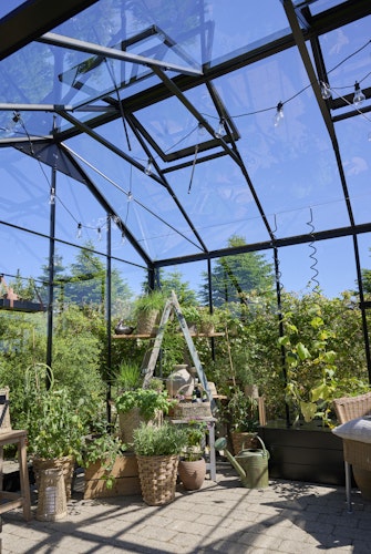 Juliana Gewächshaus Jubii 10,9 m² inkl. gratis Fundamentrahmen und Starterset im Wert von 578 €