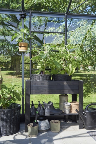 Juliana Gewächshaus Orangerie - 21,5 m²