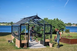 Juliana Gewächshaus Premium anthrazit - 3 mm Sicherheitsglas - für Mauer - 13,0 m²