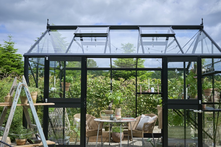 Juliana Gewächshaus Jubii 10,9 m² inkl. gratis Fundamentrahmen und Starterset im Wert von 578 €