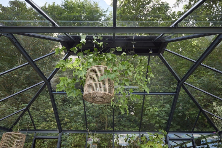 Juliana Gewächshaus Grand Oase Set inkl. Fundamentrahmen - 25,6 m²