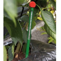 Juliana Erdbodenthermometer