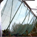 Vorschaubild Juliana Schattierungsnetz für Gewächshäuser