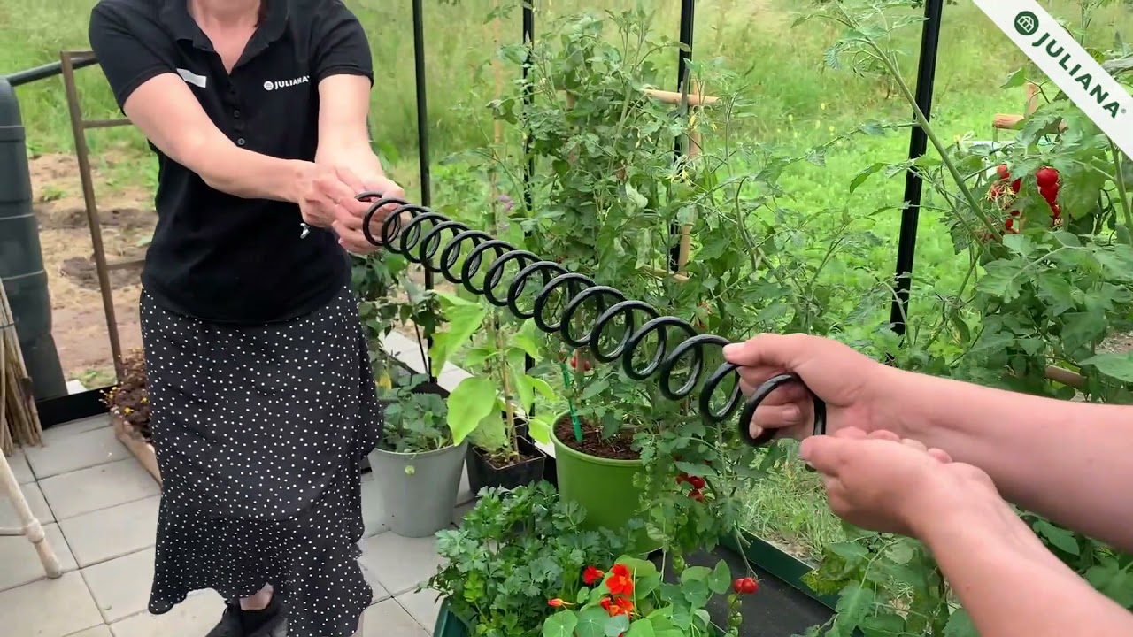 Juliana Pflanzenspiralen (3 Stück)