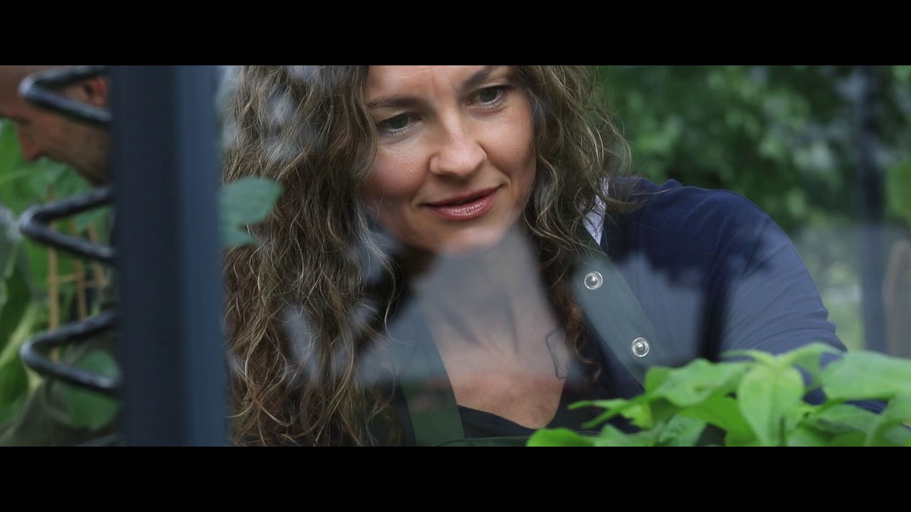 Juliana Gewächshaus Premium anthrazit - 3 mm Sicherheitsglas - für Mauer - 13,0 m²